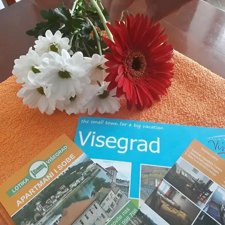 Lotika Apartament